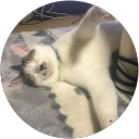 もんじろー profile picture