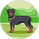 へのほむ profile picture